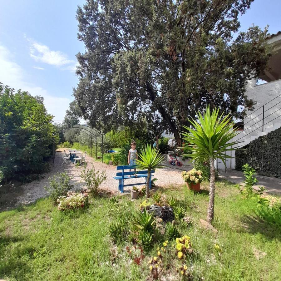 Santu Paulu Country House Posada  Exterior foto