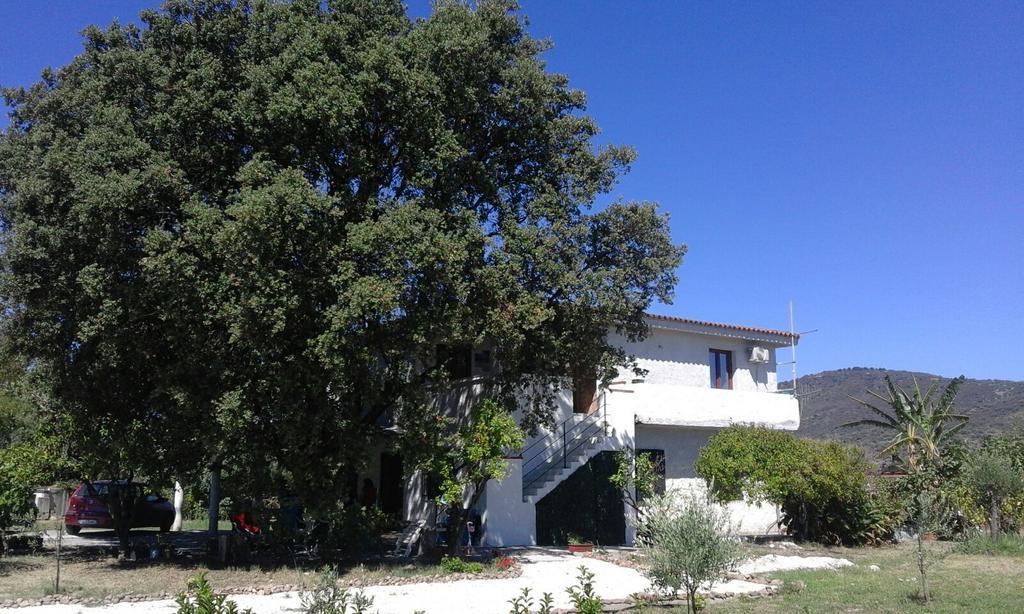 Santu Paulu Country House Posada  Exterior foto